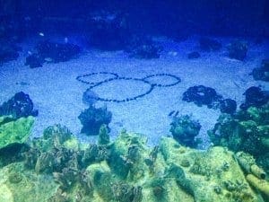 Seas with Nemo and Friends. Vivacious Views Seas with Nemo and Friends. Vivacious Views