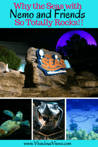 Seas with Nemo and Friends. Vivacious Views Seas with Nemo and Friends