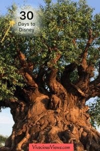 30 Days Until Disney World 30 Days Until Disney World
