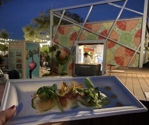 2021 Epcot Flower and Garden Festival 2021 Epcot Flower and Garden Festival